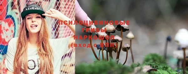 ГАЛЛЮЦИНОГЕННЫЕ ГРИБЫ Армянск