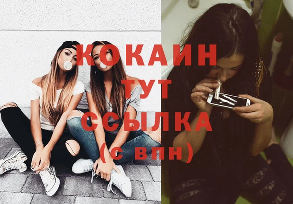 трава Арсеньев