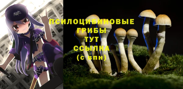 мет Семёнов
