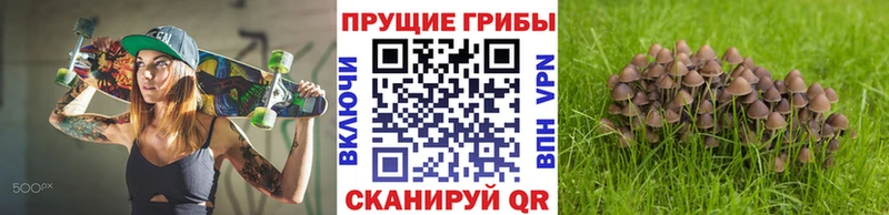 Галлюциногенные грибы мухоморы  Ахтубинск 