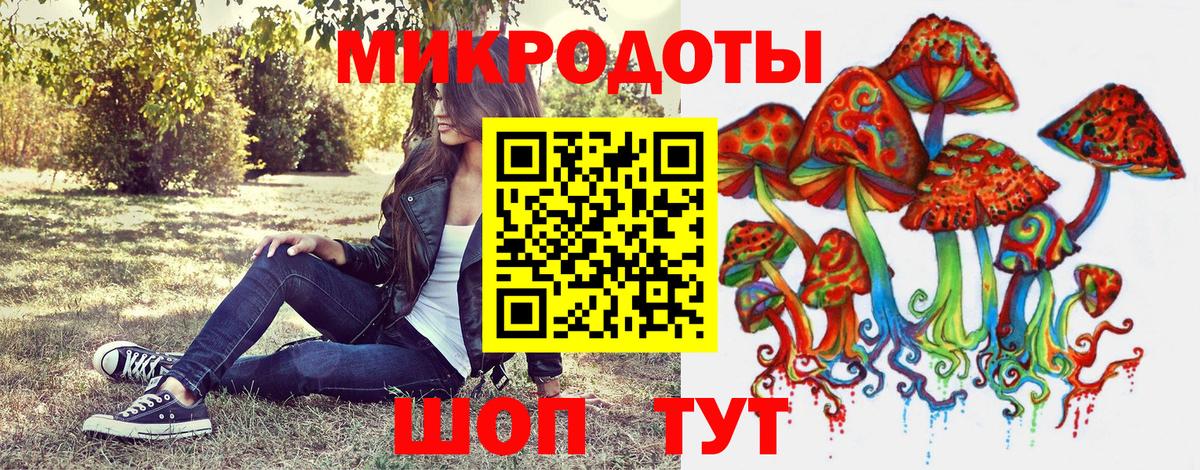 Псилоцибиновые грибы Psilocybine cubensis  купить закладку  Псилоцибиновые грибы прущие грибы  Ахтубинск  Вход с VPN 